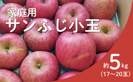 りんご つがる 家庭用 約4.5㎏ 通常サイズor 小玉サイズ / 8月
