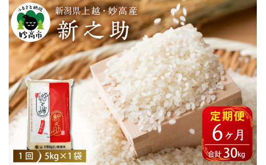 yVszyցzy2025N11{蔭zVzEYVV5kg×6(v30kg)