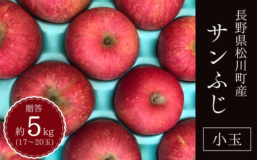 KR16-25A 【1月発送】 りんご サンふじ 贈答【小玉】 約5kg（17～20玉
