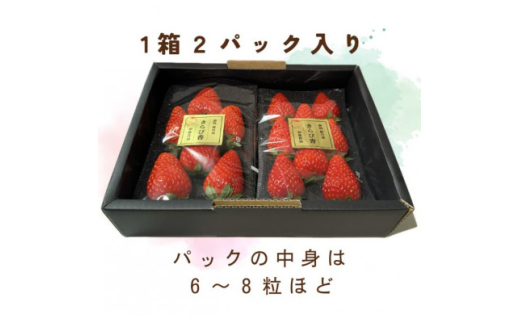 いちご香☆ん きらぴ香」静岡県産いちご DX・G 4パック（1パック：約260g）産地箱