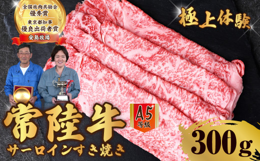 y錧헤cszy300gz 헤 A5N T[CĂ | 헤 Y A5N T[C a BBQ o[xL[  Mtg Ă Ԃ  ē Ă