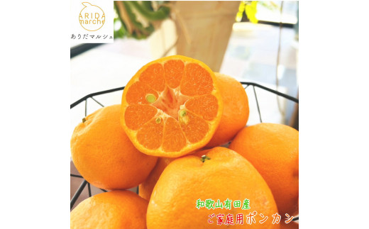 ya̎RxRzLc炿 n |Jiƒpj2kgms\nmMS118n