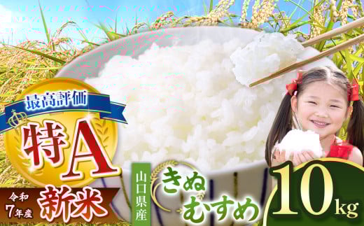【山口県美祢市】令和7年度産 きぬむすめ 白米 20kg < 2026年1月〜より順次発送予定  > | 精米 白米 米 雑穀 お米 コメ 単一米 きぬむすめ 絹娘  山口 美祢 秋吉台  20kg