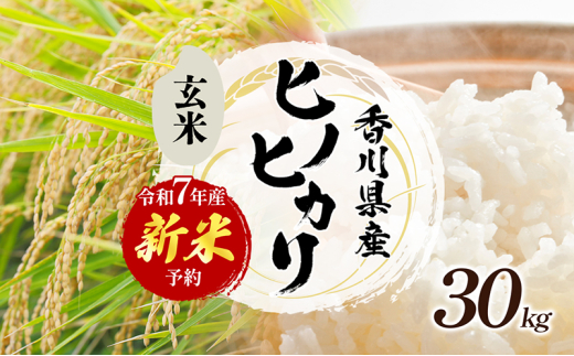 №4631-2723]「食卓応援品」令和7年産「ヒノヒカリ」30kg（玄米） お米
