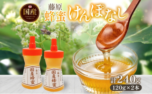 藤原国産蜂蜜 けんぽなし 計240g はちみつ ケンポナシ 玄圃梨 国産 単