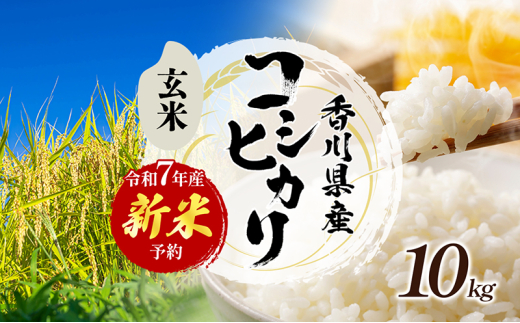 令和7年産 「コシヒカリ」10kg（玄米） お米 10kg[№4631-2724] - 香川