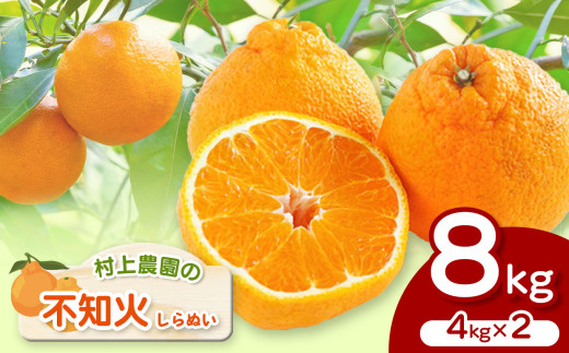 村上農園 』 不知火 4kg × 2 | フルーツ 果物 くだもの 柑橘 柑橘類