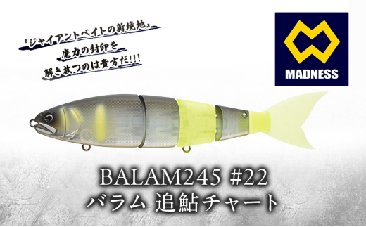 BALAM245 #22 バラム 追鮎チャート〈マドネス、ビックベイト
