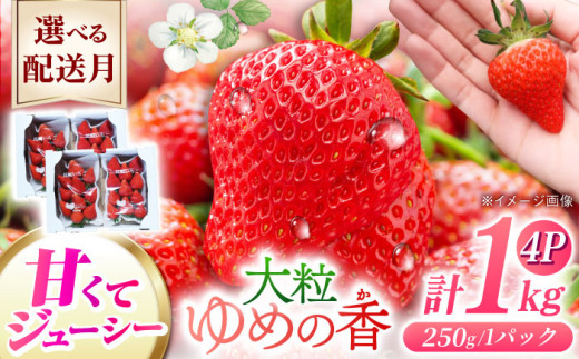 y茧zy2026N1zz茧Y  ߂̍ y嗱z1kgi250g×4pbNj茧/킽_ [42AABB002]  C`S  ߂̍ 嗱 ʕ  t[c  