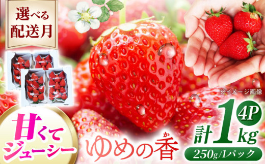 y茧zy2026N4zz 茧Y  ߂̍ 1kgi250g×4pbNj茧/킽_ [42AABB001]  ʕ t[c  C`S  ߂̍ ߂̂ 1L 1kg  茧 