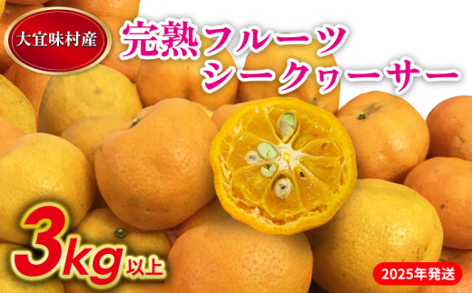 sd1_4866cbc8b27219c4e2fbaac29a