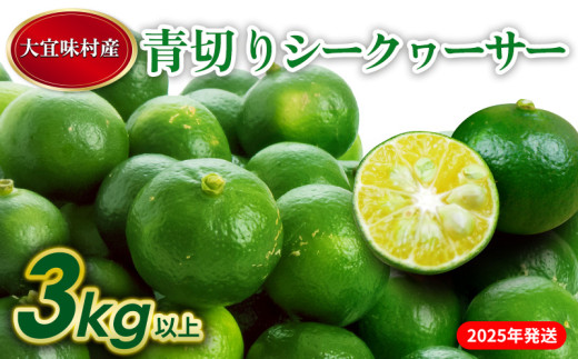 2025年発送】大宜味村 青切りシークワーサー 3kg 沖縄 おきなわ 大宜味