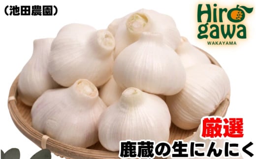 ya̎RL쒬z ɂɂ 2kg I / ɂɂ Y   5{`5{ɏ kCEEւ̔zsyikd403-r-2z