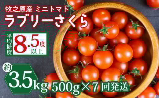 yÉqVsz~j g}g t[c g}g u[ ܂ \ t 500g × 7  v 3.5kg Y  t[c Â É qVs R{_