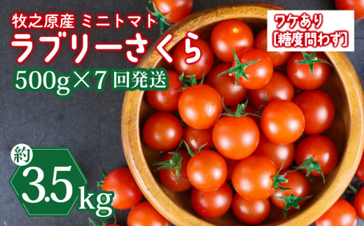 yÉqVsz󂠂 ~j g}g t[c g}g u[ ܂ \ t 500g × 7  v 3.5kg Iׂ e   Y  t[c Â É qVs R{_
