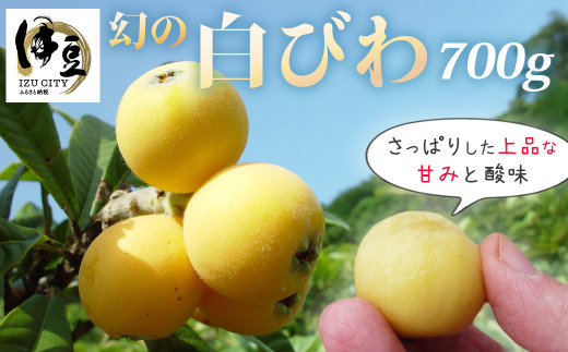 yÉɓszis\E3OZbgE5{`6{jтi700gjyÉ ɓs ʕ  f z010-009