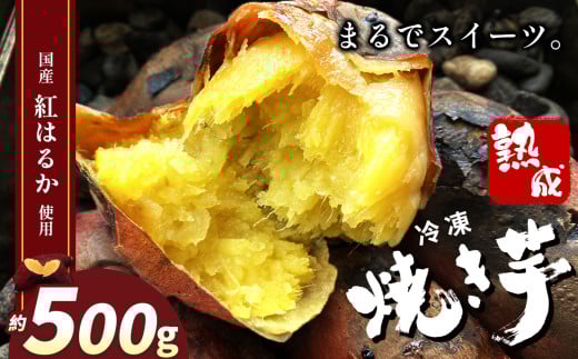 yȖ،^szⓀĂ ( XC[c )  | XC[c Ă 500g Â  Ă ܂ Tc}C XC[c fU[g J   R[hXC[c 炲 Vj Ԃ