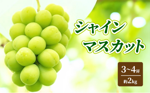 y쌧RmzVC}XJbg 2kg 4`5[ Ԃǂ t[c ʕ fU[g 쌧 Rm