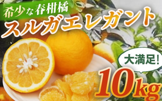 yÉɓszis\E100ZbgER`TjXKGKgi10kgjyÉ ɓs ʕ k z@015-003