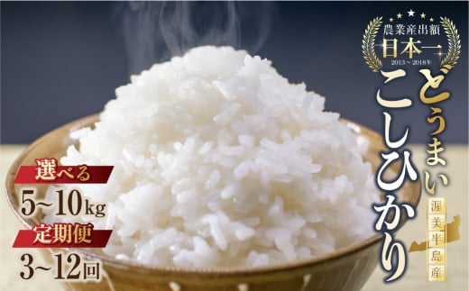 ymcszsߘa8NY VātЂ 5kg 12 