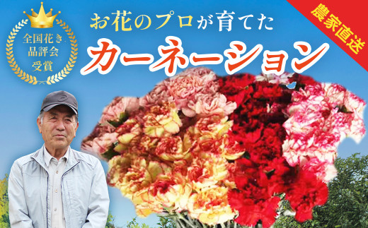 yÉɓszis\ETOZbgE12{`T{jJ[l[Vi25{OjyÉ ɓs  z@010-006