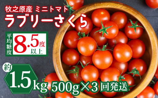 yÉqVsz~j g}g t[c g}g u[ ܂ \ t 500g × 3  v 1.5kg Y  t[c Â É qVs R{_