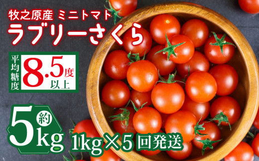 yÉqVsz~j g}g t[c g}g u[ ܂ \ t 1kg × 5  v 5kg Y  t[c Â É qVs R{_