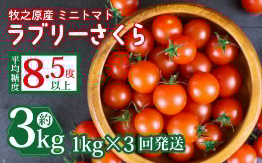 yÉqVsz~j g}g t[c g}g u[ ܂ \ t 1kg × 3  v 3kg Y  t[c Â É qVs R{_