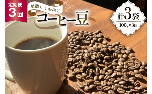 y}szR[q[ 3  100g×3 [̂͂܂  }s 21761225] R[q[ 蓤  