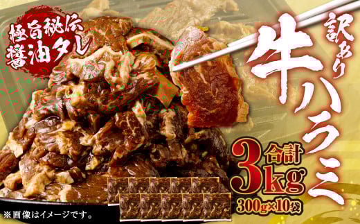 yFsz炩 n~iTKj Ɏ|`ݖ^Ђ v3.0kgi300g×10܁jy󂠂zn~  BS-147