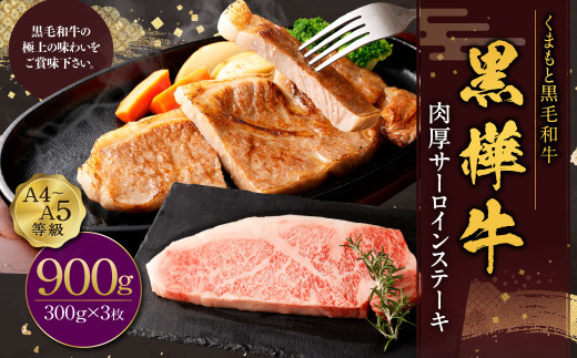 【熊本県水俣市】黒樺牛 肉厚サーロインステーキ 計約900g(約300g×3パック) 肉厚 サーロイン ステーキ サーロインステーキ 黒毛和牛 和牛 牛肉 牛