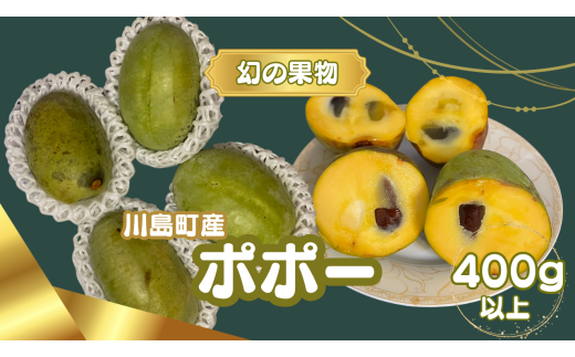 限定20個【幻の果物ポポー〈7月から先行予約受付中〉】希少な幻