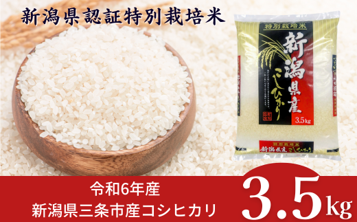 ふるさと納税 米 コシヒカリ 新潟県 上越市 令和6年産 上越産
