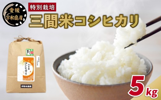 yQFaszʍ͔| V Oԕ RVqJ 5kg ɐ{_ ʍ͔|    ͂  R  kome   ٓ uh ӂ cc Â S 