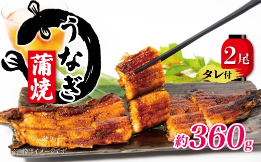 yꌧzY Ȃ  180g×2 360g ^t  ( O Ȃ Ⓚ V VN   yj N̓ ^pbN  ꌧ   )