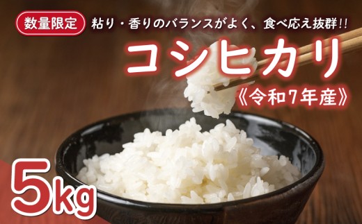 yQ쒬zs\ V ߘa7NY RVqJ 5kg 12000~      Yn Y _ƒ Ԍ ʌ Yi s O t ߘa7NxY 2025NY  S