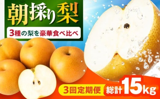 y茧呺szy3ցz ̂{̗ Hה 5kg/1  t[c  iV Ȃ t[c ʕ ʕ / 呺s / Yg [ACZC010]