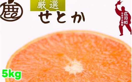 ya̎RL쒬zI Ƃ 5kg+250giɂݕ⏞j ZT[ /  Â a̎R k 2{`3{ kCEEւ̔zs yikd014-p-5Az