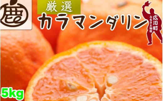 ya̎RL쒬zJ}_ 5kg+250giɂݕ⏞j I / J JIW J݂ ÊC Ȃ  a̎R Lc k ӊ 4{`5 kCEE