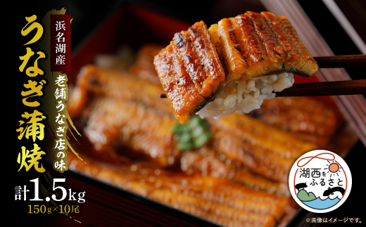 yÉΐszYnlΎYȂ 񊗏150g×10[ׂ̂Ȃ]_Ȃ V EiM Ă  ΏĂ l ^ R ^pbN ^ y  ܂ yp N̓