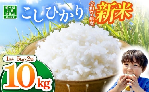 【栃木県那珂川町】【栃木県共通返礼品】【令和7年度新米】栃木県産コシヒカリ 10kg | ふるさと 納税 コシヒカリ お米 精米 白米 玄米 大粒 共通返礼品 送料無料 那珂川町 栃木県
