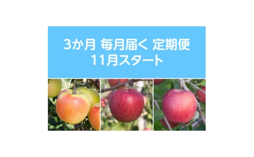 yXΎszŒցq2025N11菇rÖnEXY񂲖3kgS3y4068085z