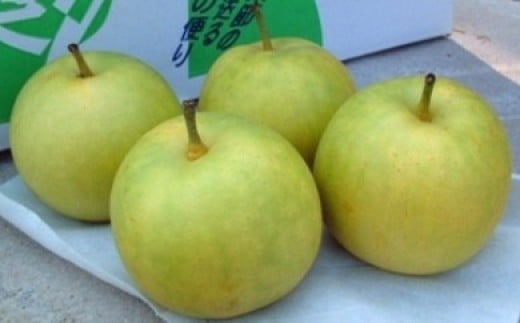 ふるさと納税 島根県 安来市 百の輝2kg 令和5年産 ふるさと納税BG無洗米 金芽米 きぬむすめ 5kg ／令和7