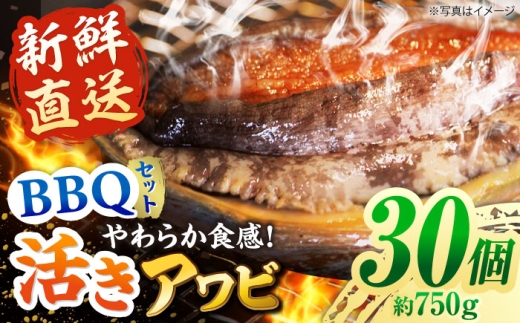 y茧ܓszytwK{zyzGAzܓY{B ArEo[xL[Zbg 30Zbg 750g ܓs/iLjsH BBQ   [PEX007]