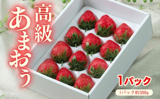 y蒬zy2025N12{2026N3zY ܂ 12-15 ①  {   ܂ t[c ʕ  XC[c Mtg  蕨 Mtg  蒬