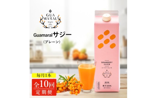 y錧É͎szy10JzTW[ OA}TW[ 1000ml@1{10JR[XbTW[W[X TW[ V[x[  OA} NhN N e h{ ʏ` S⋋ h