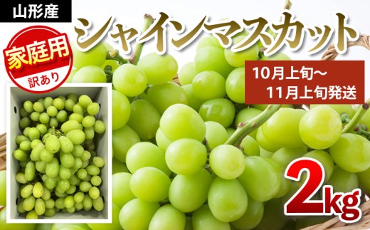 yR`R`szyƒpzVC}XJbg 2kg 1 [㔼] yߘa7NYs\zFU21-632 t[c  ʕ R` R` R`s Ԃǂ  uhE 󂠂 2025NY