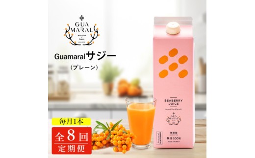y錧É͎szy8JzTW[ OA}TW[ 1000ml@1{8JR[XbTW[W[X TW[ V[x[  OA} NhN N e h{ ʏ` S⋋ h{