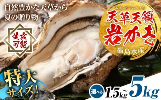 yF{kzV̊≲y 1.5kg 2.5kg 5kg Iׂ Ys2026N4{-7oח\tF{ k y  JL JL KL L BIG rbO H o[xL[ ēV V