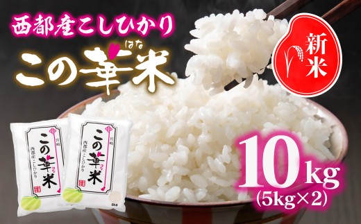 y{茧sszߘa7NY VĂЂ w̉ؕāx10kg 2.9-5  RVqJ